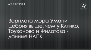 Зарплата мэра Умани Цебрия выше, чем у Кличко, Труханова и Филатова - данные НАПК