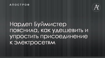 Нардеп Буймистер пояснила, как удешевить и упростить присоединение к электросетям