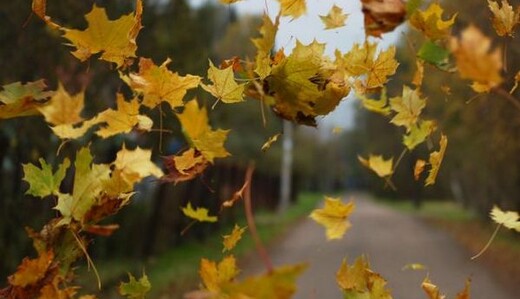 На Украину надвигается циклон Foelke - будет штормовая погода с мощными ливнями