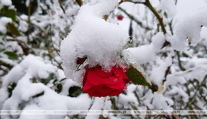 Країну-сусідку України засипало снігом: з'явилися яскраві фото