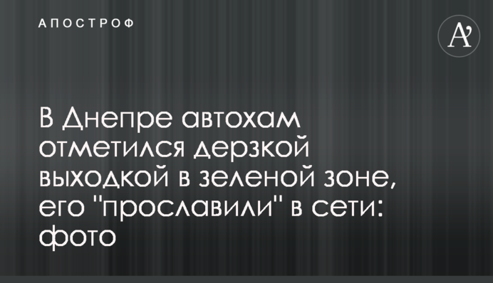 У Дніпрі автохам відзначився зухвалою витівкою в зеленій зоні, його 