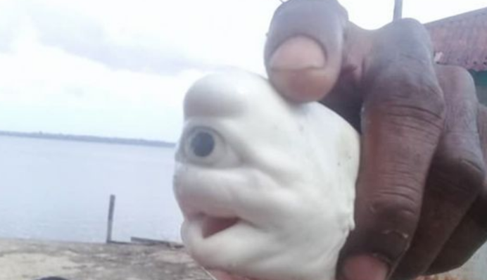 Рыбаки поймали 