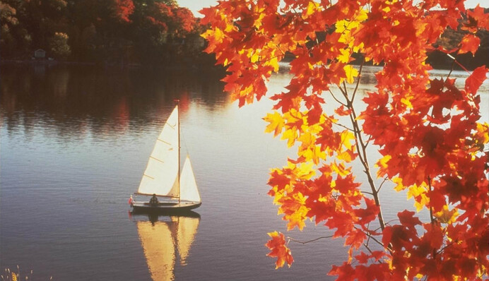 Сначала ударит мороз, а после - жара: синоптик дала контрастный прогноз погоды для Украины