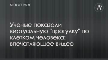 Ученые показали виртуальную "прогулку" по клеткам человека: впечатляющее видео