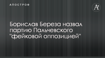 Борислав Береза назвав партію Пальчевського "фейковою опозицією"