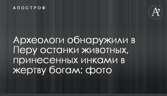 Археологи виявили в Перу останки тварин, принесених інками в жертву богам: фото