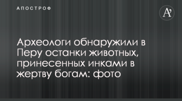 Археологи виявили в Перу останки тварин, принесених інками в жертву богам: фото