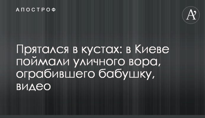 Ховався в кущах: в Києві спіймали вуличного злодія, який пограбував бабусю, відео