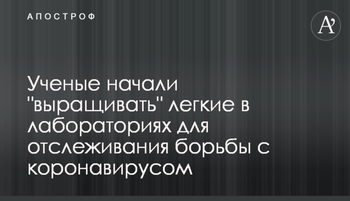 Ученые начали 