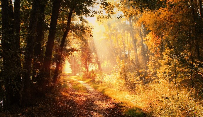 Синоптик попередила українців про аномальну погоду: детальний прогноз і карта