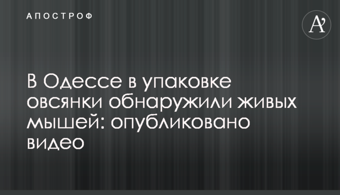 В Одессе в упаковке овсянки обнаружили живых мышей: опубликовано видео