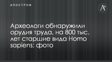 Археологи виявили знаряддя праці, на 800 тис. років старші за вид Homo sapiens: фото