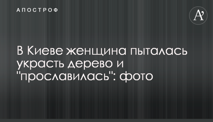 У Києві жінка намагалася вкрасти дерево і 