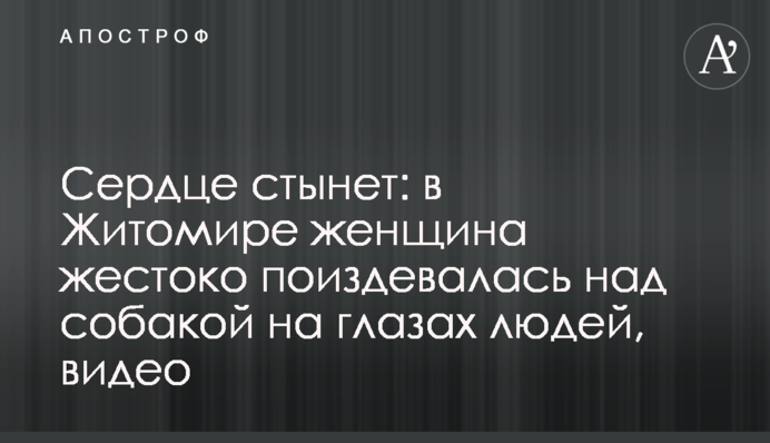 Сердце стынет: в Житомире женщина жестоко поиздевалась над собакой на глазах людей, видео