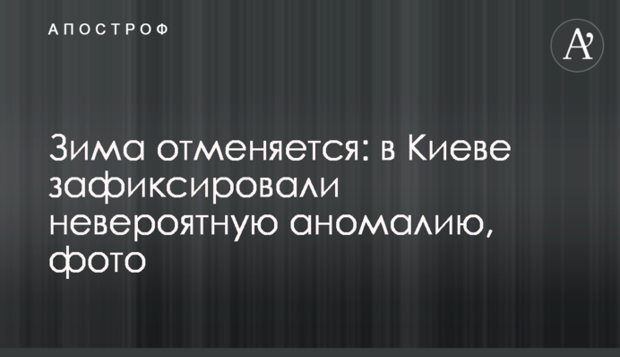 Зима скасовується: у Києві зафіксували неймовірну аномалію, фото