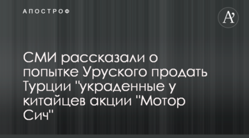 СМИ рассказали о попытке Уруского продать Турции "украденные у китайцев акции "Мотор Сич"
