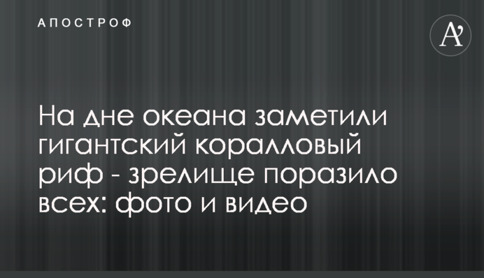 На дне океана заметили гигантский коралловый риф - зрелище поразило всех: фото и видео