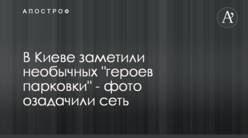 У Києві помітили незвичайних "героїв парковки" - фото спантеличили мережу