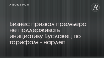 Бизнес призвал премьера не поддерживать инициативу Буславец по тарифам - нардеп