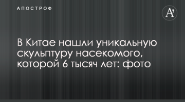 У Китаї знайшли унікальну скульптуру комахи, якій 6 тисяч років: фото