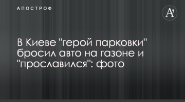 В Киеве "герой парковки" бросил авто на газоне и "прославился": фото