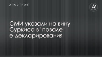 СМИ указали на вину Суркиса в "повале" е-декларирования
