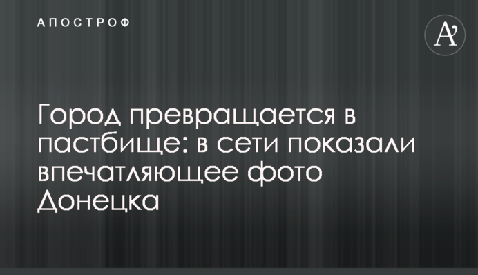 Город превращается в пастбище: в сети показали впечатляющее фото Донецка