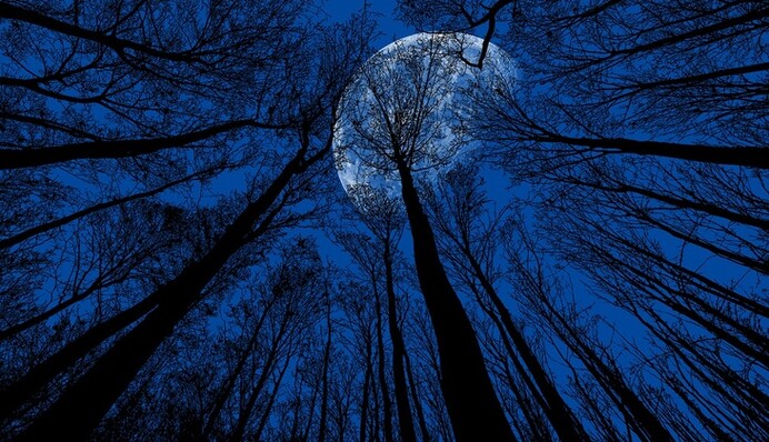 Блакитний Місяць 2020: названо чотири знаки Зодіаку, яким загрожує велика небезпека