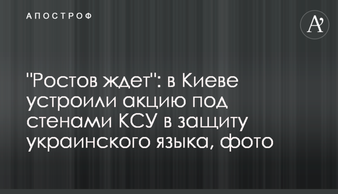 В Киеве устроили акцию под стенами КСУ в защиту украинского языка, фото