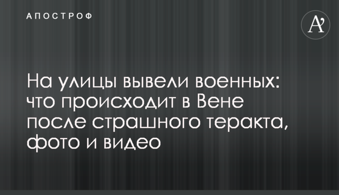 На вулиці вивели військових: що відбувається у Відні після страшного теракту, фото і відео