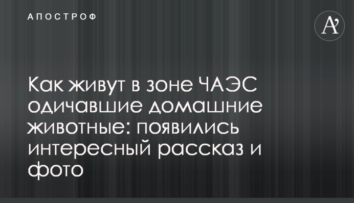 Як живуть в зоні ЧАЕС здичавілі домашні тварини: з'явилась цікава розповідь і фото