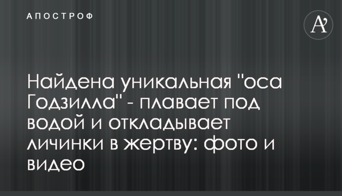 Знайдено унікальну 