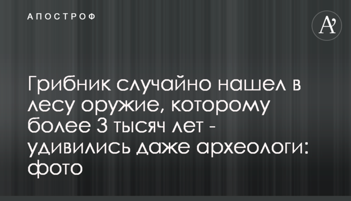 Грибник випадково знайшов в лісі зброю, якій понад 3 тисячі років - здивувалися навіть археологи: фото