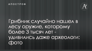 Грибник випадково знайшов в лісі зброю, якій понад 3 тисячі років - здивувалися навіть археологи: фото
