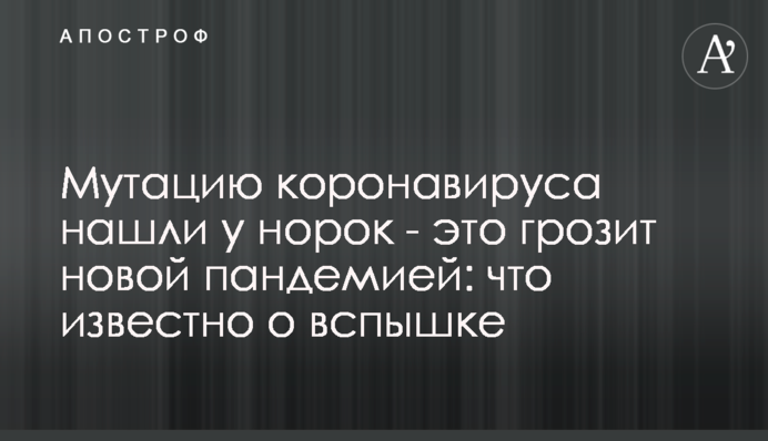 Мутацію коронавірусу знайшли у норок - це загрожує новою пандемією: що відомо про спалах