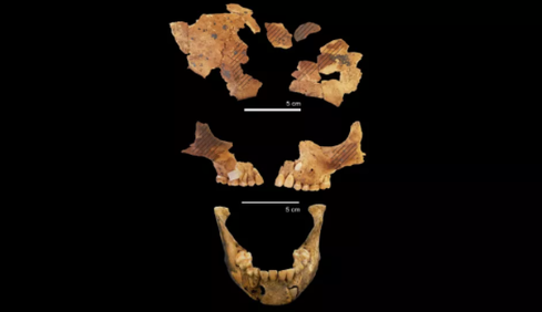 Загадочный ритуал, которому 8 тысяч лет: археологи нашли в Индонезии необычные останки ребенка