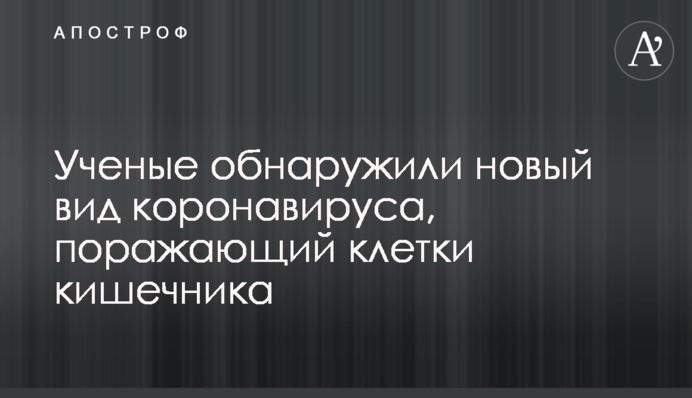 Ученые обнаружили новый вид коронавируса, поражающий клетки кишечника