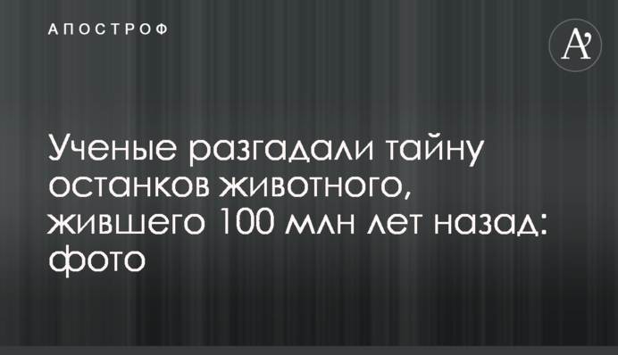 Ученые разгадали тайну останков животного, жившего 100 млн лет назад: фото
