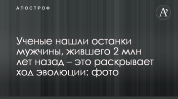 Ученые нашли останки мужчины, жившего 2 млн лет назад - это раскрывает ход эволюции: фото