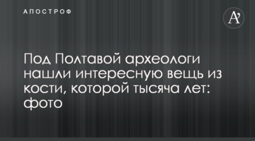 Под Полтавой археологи нашли интересную вещь из кости, которой тысяча лет: фото