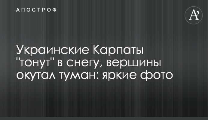 Українські Карпати засипані снігом, вершини огорнув туман: яскраві фото