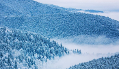 Українські Карпати 