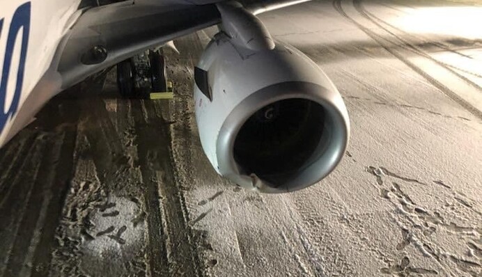 На Алясці літак при посадці збив ведмедя: з'явилися подробиці НП і фото