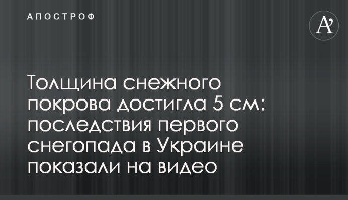 Товщина сніжного покриву досягла 5 см: наслідки першого снігопаду в Україні показали на відео