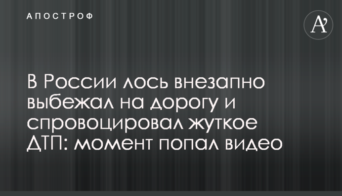 В России лось внезапно выбежал на дорогу и спровоцировал жуткое ДТП: момент попал видео