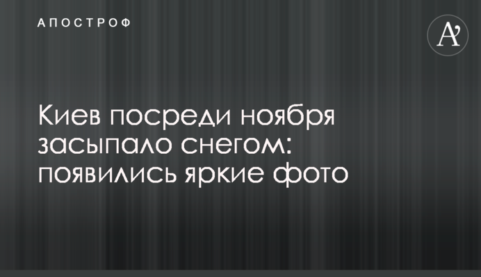 Киев посреди ноября засыпало снегом: появились яркие фото