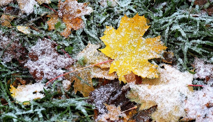 В Україну прийшла справжня зимова казка: фото першого снігопаду з різних міст