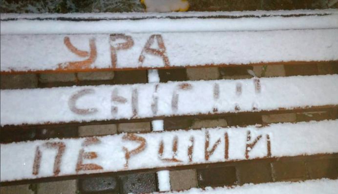 Украину засыпало снегом в ноябре: сказочные фото и видео из разных городов