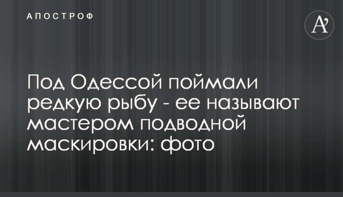 Под Одессой поймали редкую рыбу - ее называют мастером подводной маскировки: фото