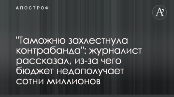 "Таможню захлестнула контрабанда": журналист рассказал, из-за чего бюджет недополучает сотни миллионов
